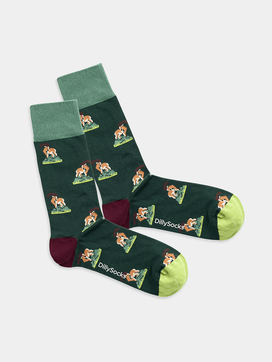 Socken Socken Capricorn Climb Dilly Socks 1